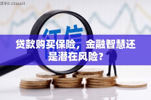 木兰贷款购买保险，金融智慧还是潜在风险？