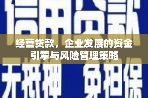 木兰经营贷款，企业发展的资金引擎与风险管理策略
