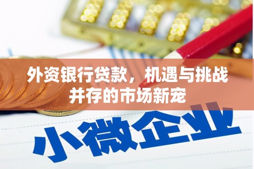 木兰外资银行贷款，机遇与挑战并存的市场新宠