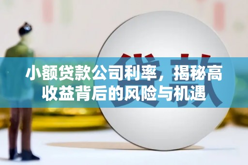 木兰小额贷款公司利率，揭秘高收益背后的风险与机遇