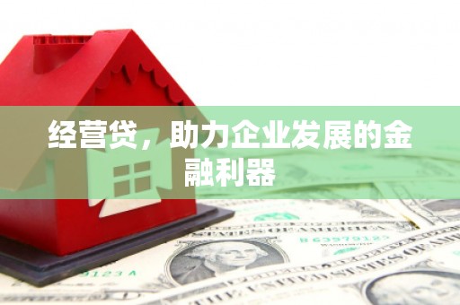木兰经营贷，助力企业发展的金融利器