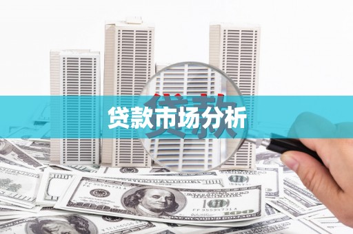木兰贷款市场分析