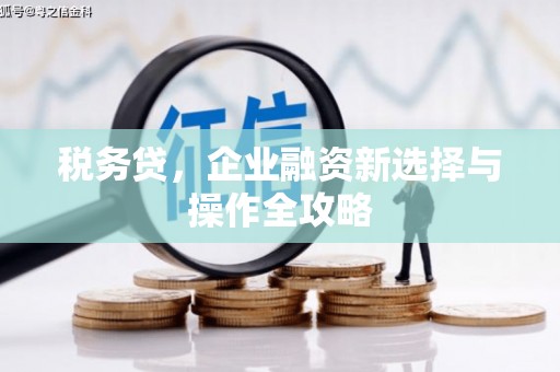 木兰税务贷，企业融资新选择与操作全攻略