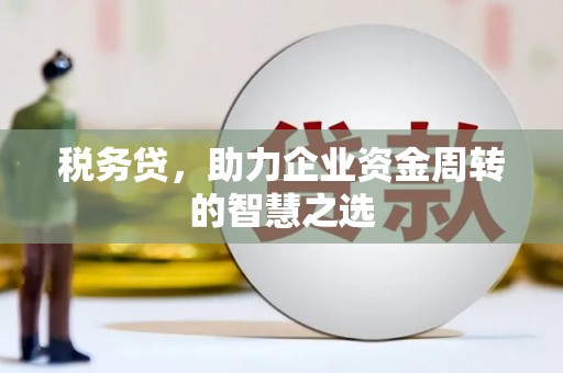 木兰税务贷，助力企业资金周转的智慧之选