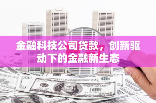 木兰金融科技公司贷款，创新驱动下的金融新生态