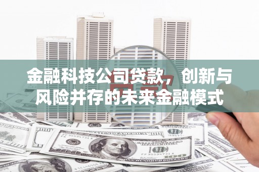 木兰金融科技公司贷款，创新与风险并存的未来金融模式