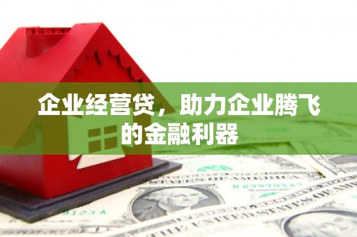木兰企业经营贷，助力企业腾飞的金融利器
