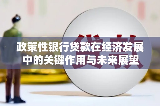 木兰政策性银行贷款在经济发展中的关键作用与未来展望