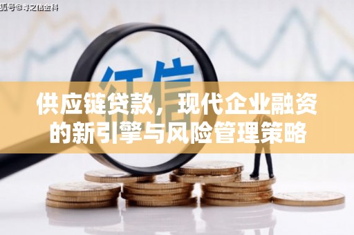 木兰供应链贷款，现代企业融资的新引擎与风险管理策略