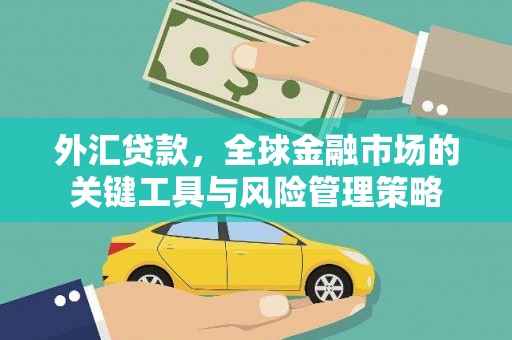 木兰外汇贷款，全球金融市场的关键工具与风险管理策略