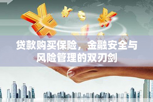 木兰贷款购买保险，金融安全与风险管理的双刃剑