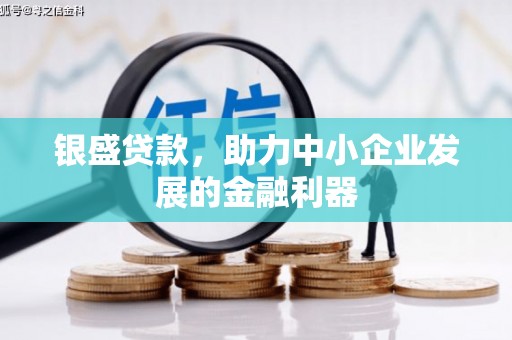 木兰银盛贷款，助力中小企业发展的金融利器