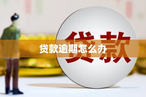 木兰贷款逾期怎么办