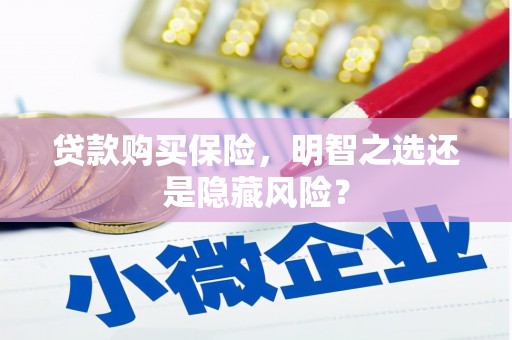 木兰贷款购买保险，明智之选还是隐藏风险？