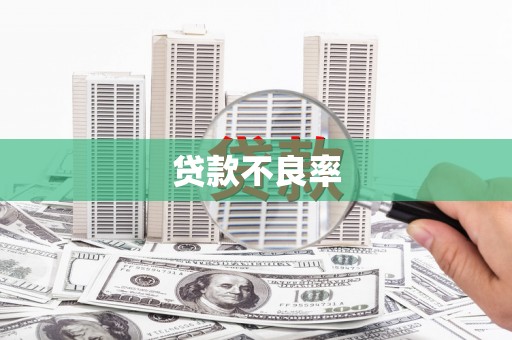 木兰贷款不良率