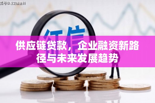 木兰供应链贷款，企业融资新路径与未来发展趋势