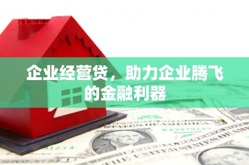 木兰企业经营贷，助力企业腾飞的金融利器