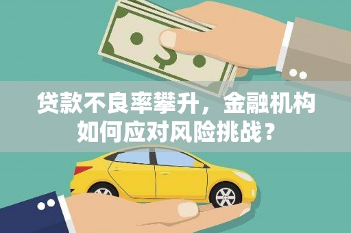 木兰贷款不良率攀升，金融机构如何应对风险挑战？