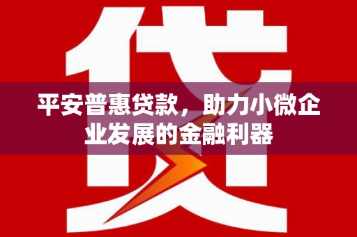 木兰平安普惠贷款，助力小微企业发展的金融利器