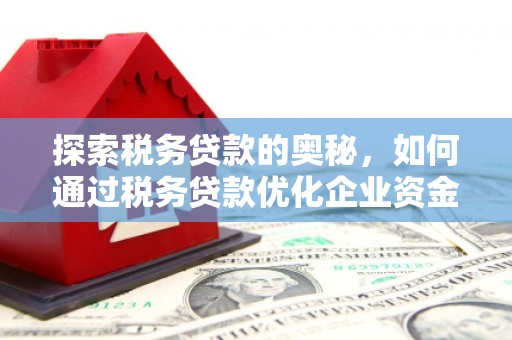木兰探索税务贷款的奥秘，如何通过税务贷款优化企业资金流