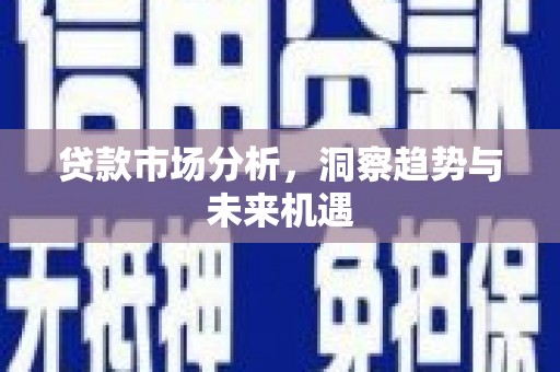 木兰贷款市场分析，洞察趋势与未来机遇
