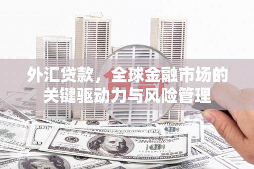 木兰外汇贷款，全球金融市场的关键驱动力与风险管理