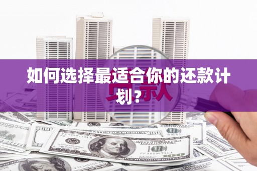 木兰如何选择最适合你的还款计划？