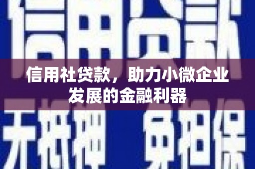 木兰信用社贷款，助力小微企业发展的金融利器