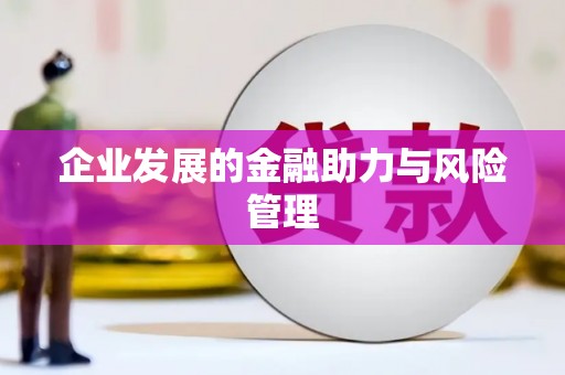 木兰企业发展的金融助力与风险管理