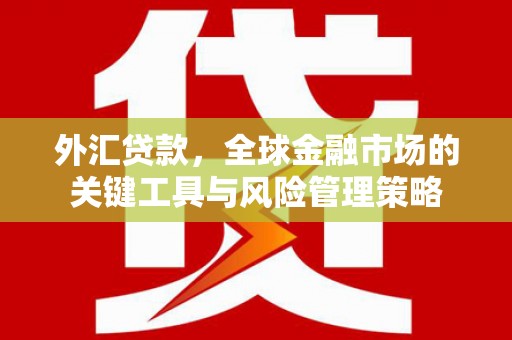 木兰外汇贷款，全球金融市场的关键工具与风险管理策略