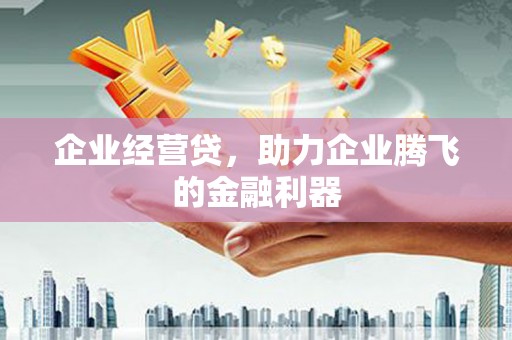 木兰企业经营贷，助力企业腾飞的金融利器