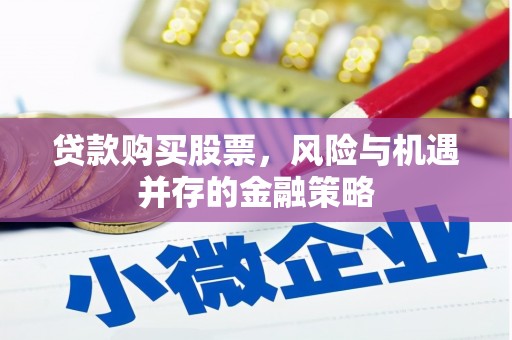 木兰贷款购买股票，风险与机遇并存的金融策略