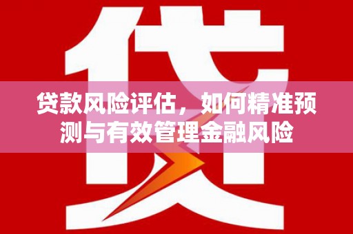木兰贷款风险评估，如何精准预测与有效管理金融风险