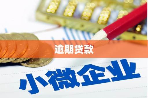 木兰逾期贷款