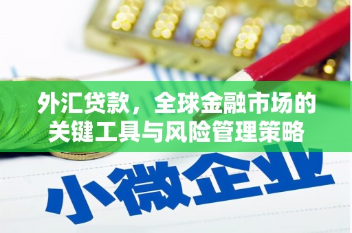 木兰外汇贷款，全球金融市场的关键工具与风险管理策略