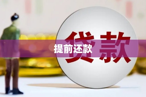 木兰提前还款