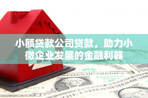 木兰小额贷款公司贷款，助力小微企业发展的金融利器