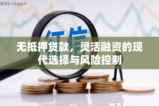木兰无抵押贷款，灵活融资的现代选择与风险控制
