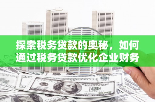 木兰探索税务贷款的奥秘，如何通过税务贷款优化企业财务