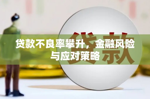 木兰贷款不良率攀升，金融风险与应对策略