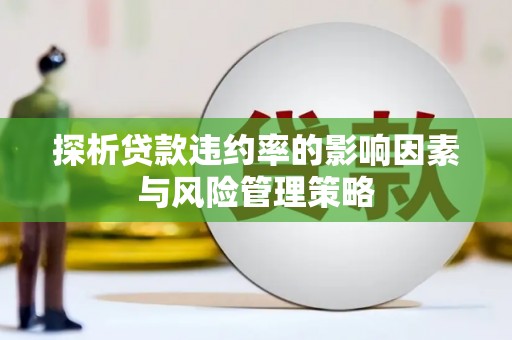 木兰探析贷款违约率的影响因素与风险管理策略