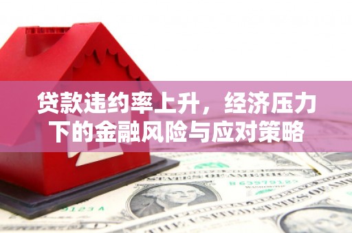 木兰贷款违约率上升，经济压力下的金融风险与应对策略