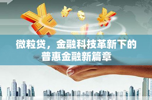 木兰微粒贷，金融科技革新下的普惠金融新篇章