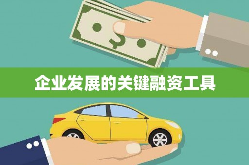 木兰企业发展的关键融资工具