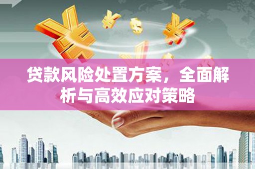 木兰贷款风险处置方案，全面解析与高效应对策略