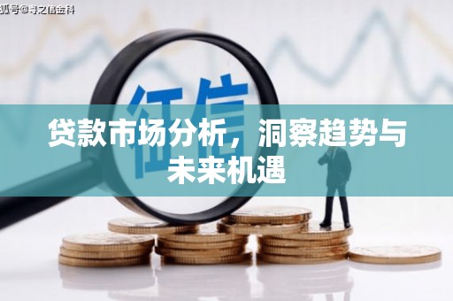 木兰贷款市场分析，洞察趋势与未来机遇