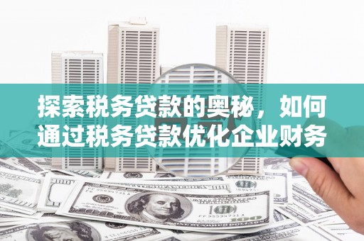木兰探索税务贷款的奥秘，如何通过税务贷款优化企业财务