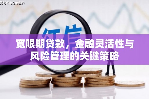 木兰宽限期贷款，金融灵活性与风险管理的关键策略