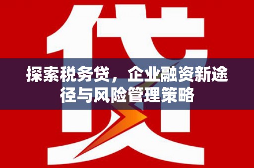 木兰探索税务贷，企业融资新途径与风险管理策略