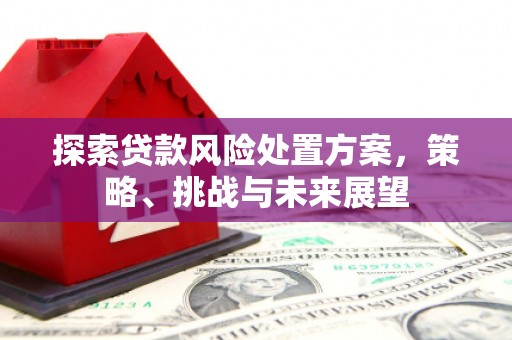 木兰探索贷款风险处置方案，策略、挑战与未来展望